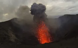 Hơn 6.000 người phải sơ tán do núi lửa phun trào tại Vanuatu