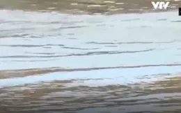 Báo động số trẻ em tử vong do bị đuối nước tăng