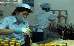 Lúng túng di dời các cơ sở sản xuất nước mắm ra khỏi khu dân cư