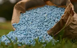 Phân bón tăng giá mạnh đầu vụ Đông Xuân