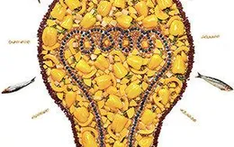 9 "nhiên liệu" giúp não nhanh nhạy và tập trung