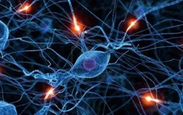 Triển khai liệu pháp tế bào trong điều trị bệnh ung thư