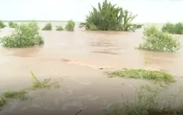 Đài PT-TH Tiền Giang hy vọng giành giải với thể loại Phóng sự ở LHTHTQ 37