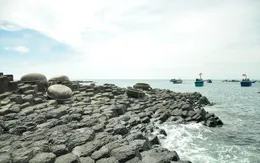 Tuần Văn hóa - Du lịch Phú Yên 2017 diễn ra từ ngày 28 - 30/4