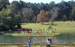 Myanmar đầu tư phát triển thành phố hoa của ASEAN