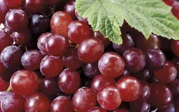 Quả nho giúp ngừa nhiều bệnh, tránh tăng cân