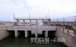 Xây dựng hệ thống quan trắc cảnh báo môi trường biển tại 4 tỉnh miền Trung