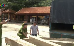 Quảng Nam ngăn chặn nạn vận chuyển gỗ lậu bằng xe máy