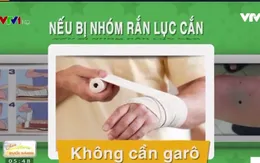 Các cách sơ cứu cơ bản khi bị rắn độc cắn