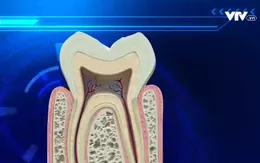 Nâng cao năng lực khám, chữa bệnh răng miệng tại cộng đồng
