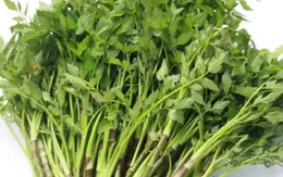 Rau cần - Vị thuốc quý không phải ai cũng biết