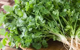 Tác dụng chữa bệnh tuyệt vời của các loại rau thơm