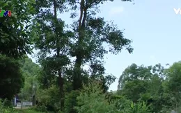 Mâu thuẫn đất đai vẫn còn phổ biến