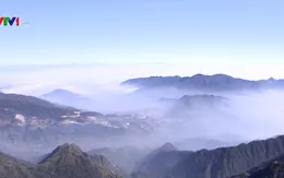 Đến với Sapa để trải nghiệm độ cao trên đỉnh Fansipan