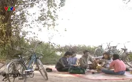 Hoa cỏ may (phần 1, 2) chính thức trở lại trên VTV6