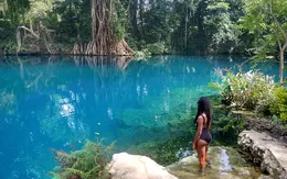 Chiêm ngưỡng vẻ đẹp tựa xứ sở thần tiên tại Nam Thái Bình Dương