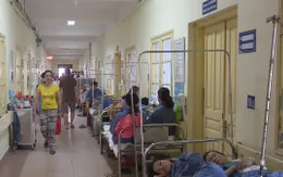 Hà Nội: Số ca mắc sốt xuất huyết tăng hàng tuần