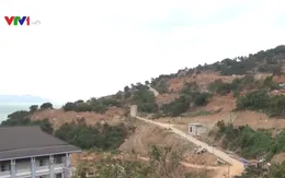 Quy hoạch khu du lịch quốc gia Sơn Trà giới hạn ở mức 1.600 phòng