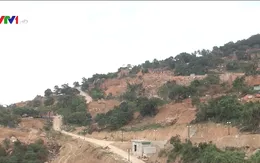 Tọa đàm phát triển bền vững khu du lịch Sơn Trà