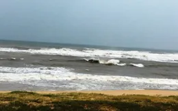 Các tỉnh, thành phố ven biển từ Quảng Ninh đến Cà Mau chủ động ứng phó với gió mạnh, sóng lớn trên biển