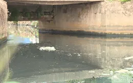 Hưng Yên: Chưa đủ tiêu chuẩn môi trường, cơ sở vẫn được cấp phép hoạt động