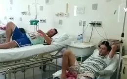 Bùng phát dịch sốt vàng da ở Brazil