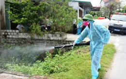 Hà Nội: Cảnh báo người dân không nên chủ quan với dịch sốt xuất huyết