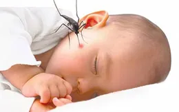 Những điều cần biết về bệnh sốt xuất huyết