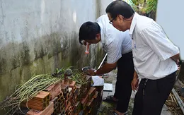 Cần Thơ: Sốt xuất huyết nguy cơ bùng phát do người dân chủ quan