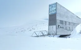 Ngân hàng hạt giống Svalbard bị bịt kín lối vào do băng tan