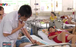 Số ca mắc sốt xuất huyết ở TP.HCM cao nhất khu vực phía Nam