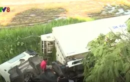 Phú Yên: Xe tải đông lạnh bất ngờ lao xuống ruộng