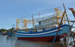 Nghệ An hạ thủy thêm 3 tàu cá theo Nghị định 67