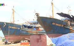 Phó Thủ tướng yêu cầu xử lý nghiêm các cơ sở đóng tàu sai phạm