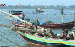 Hạ tầng nghề cá chưa đáp ứng được tàu lớn