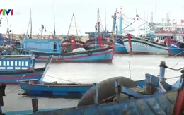 Rủi ro từ những tàu cá công suất nhỏ