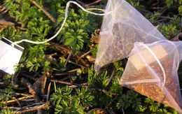 Túi trà lọc và những "tuyệt chiêu" không ngờ đến