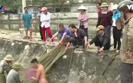 Nhiều hộ dân vẫn "lén lút" bán cá sau vụ vỡ đập chứa bùn thải ở Nghệ An