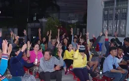 Khánh Hòa: Lấy ý kiến về thả muỗi phòng sốt xuất huyết
