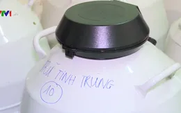 Ngân hàng tinh trùng đang thiếu tinh trùng