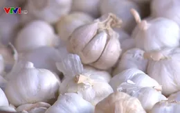 Tỏi ngoại nhập lấn át thị trường