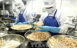 Tôm Australia chế biến ở Việt Nam được cấp phép tái nhập vào Australia
