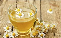 Những thức uống giúp giải độc gan hiệu quả