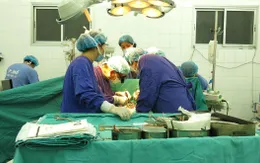Số ca được ghép tạng tại Việt Nam đang tăng nhanh