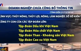 Quá nửa doanh nghiệp Nhà nước chưa công bố thông tin