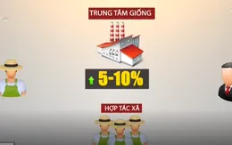 Liên kết nông dân với doanh nghiệp trong sản xuất, tiêu thụ nông sản