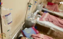 70% dân số Việt Nam nhiễm vi khuẩn HP