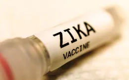 Chưa cấp phép cho vaccine Zika trước năm 2020
