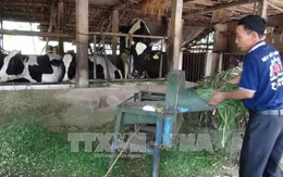 Trên 30 triệu lượt hộ nghèo được vay vốn chính sách