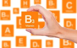 Vitamin B3 có tác dụng tuyệt vời phòng ngừa dị tật thai nhi và sảy thai
